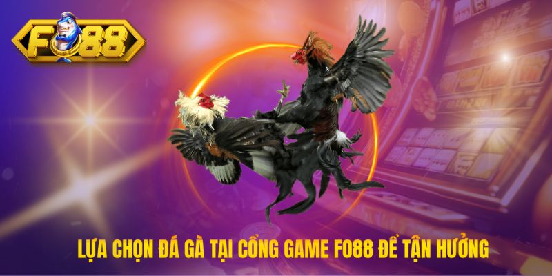 Lựa chọn đá gà tại cổng game Fo88 để tận hưởng trận đấu kịch tính nhất Lựa chọn đá gà tại cổng game Fo88 để tận hưởng trận đấu kịch tính nhất